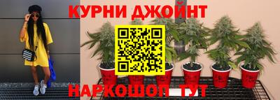 эйфоретик Берёзовский