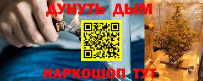 ГАЛЛЮЦИНОГЕННЫЕ ГРИБЫ Беслан