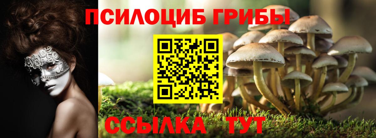 Артёмовский  Псилоцибиновые грибы мицелий  Вход с VPN 
